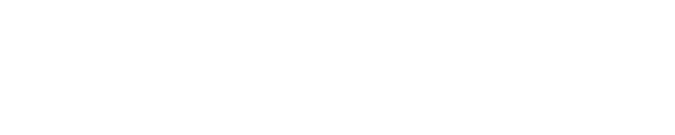 Content Sage